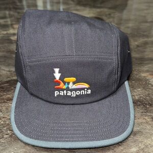 NEW No Tags Patagonia Graphic Maclure Hat